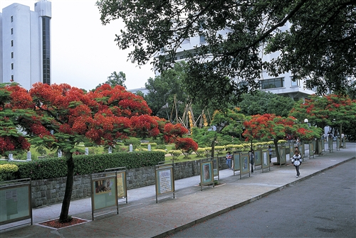 上傳圖片